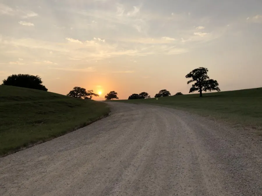Gravel Sunset Single Origin Small Lot Coffee
