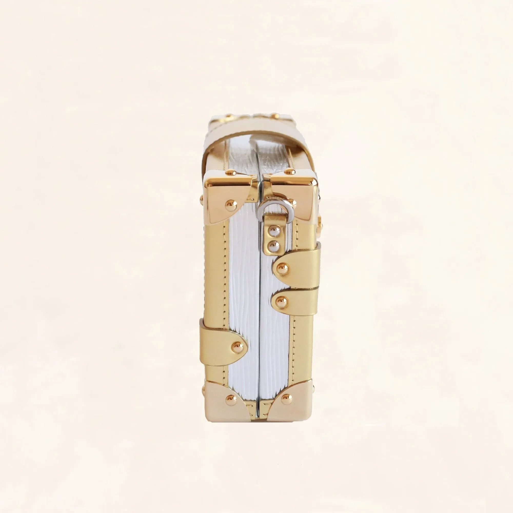 Louis Vuitton | Metallic Petite Malle | M50018