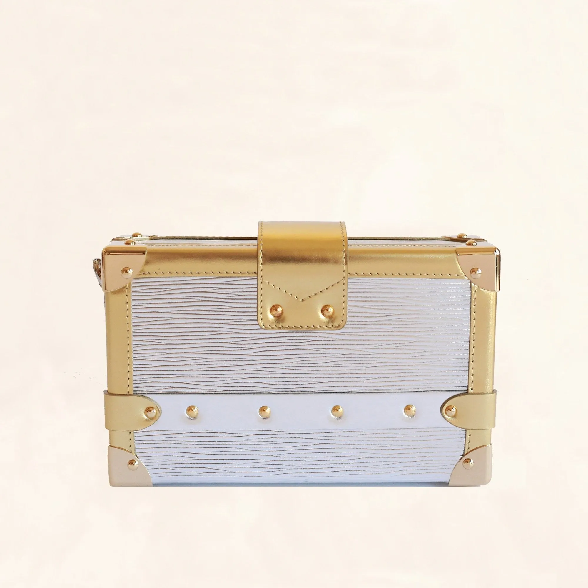 Louis Vuitton | Metallic Petite Malle | M50018