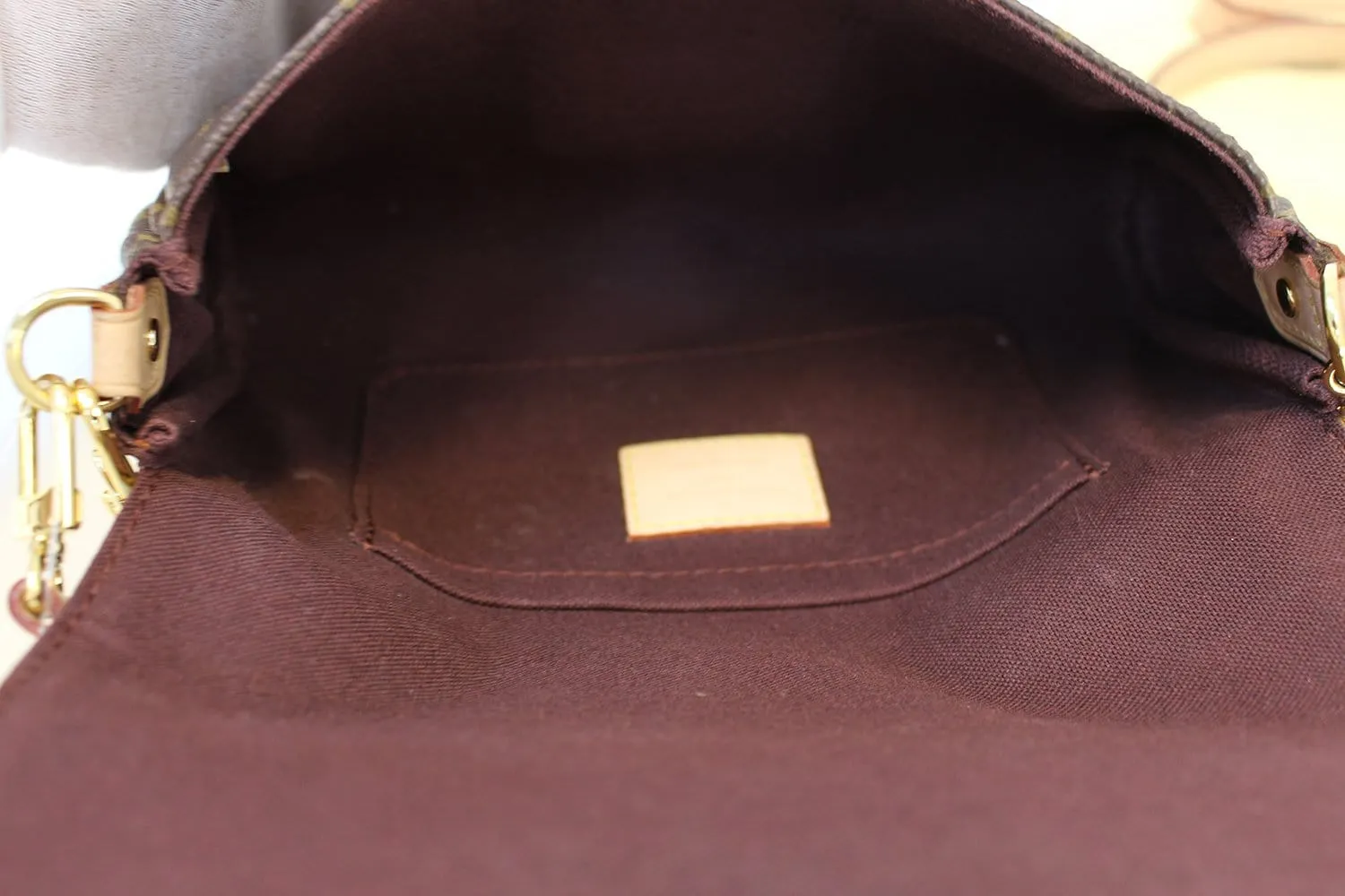 LOUIS VUITTON Monogram Canvas Favorite PM Crossbody Bag