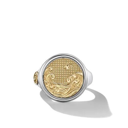 Water and Fire Ring in Silver and Yellow Gold, Size 11