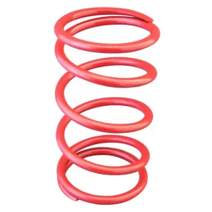YAMAHA Secondary Springs
